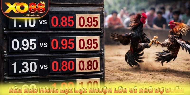 Trường Gà Thomo - Địa Điểm Đá Gà Nổi Tiếng Hàng Đầu 4 Kèo BDD mang lại lợi nhuận lớn vì khó dự đoán